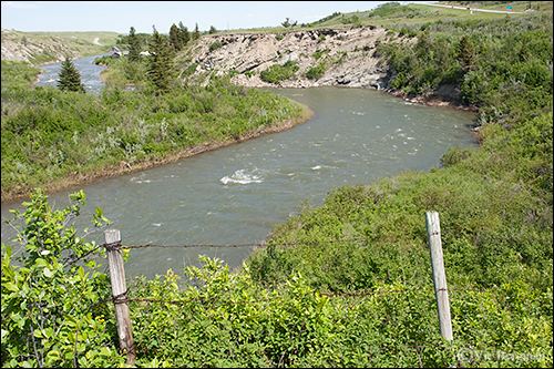 Crowsnest River Entries tagged with crowsnest river The Crowsnest Angler Fly Shop