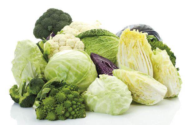 Cruciferous vegetables Cruciferous Vegetables That Can Help Prevent Cancer Madena