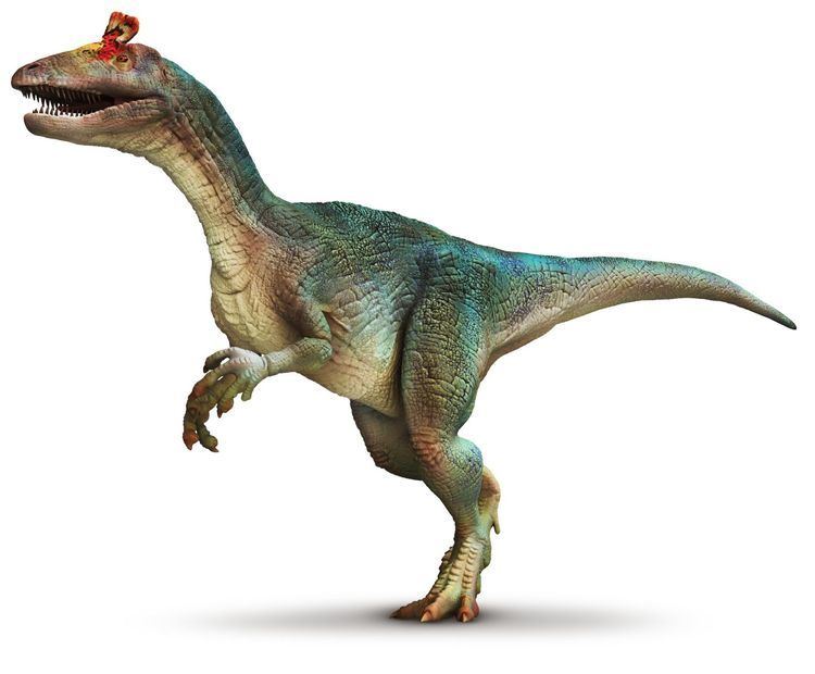 Cryolophosaurus Cryolophosaurus Cryolophosaurus Facts DK Find Out
