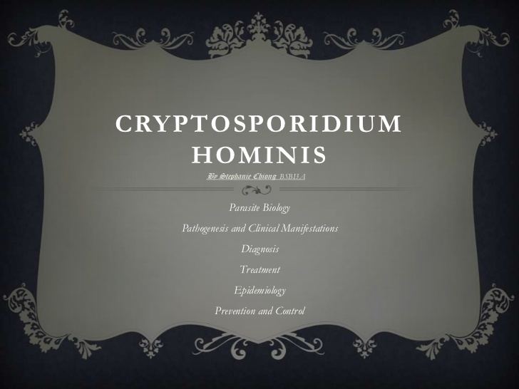 Cryptosporidium hominis httpsimageslidesharecdncomcryptosporidiumhom