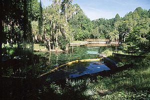 Crystal Springs, Florida httpsuploadwikimediaorgwikipediacommonsthu