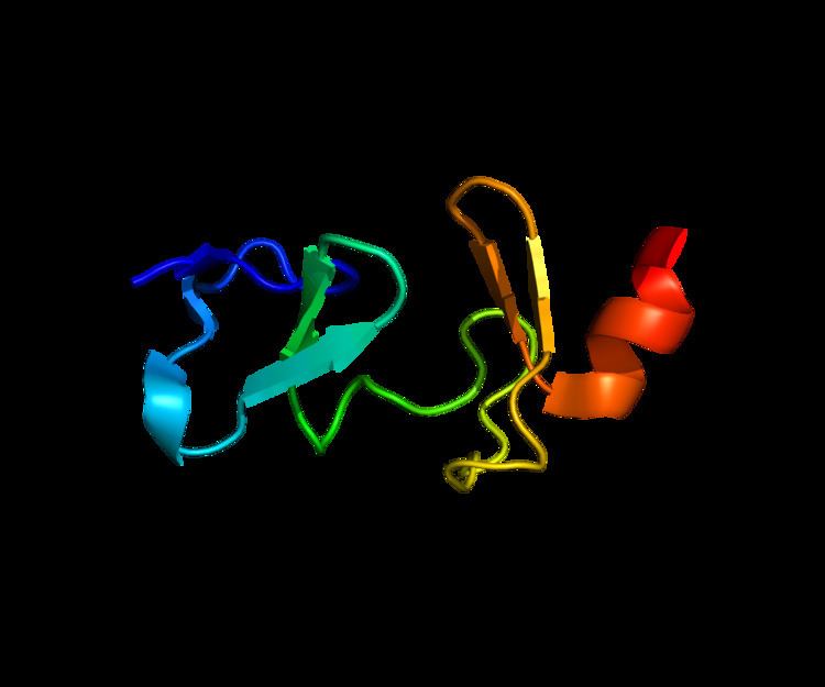 CSRP3