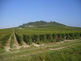 Côte des Blancs Cte des Blancs Wikipedia