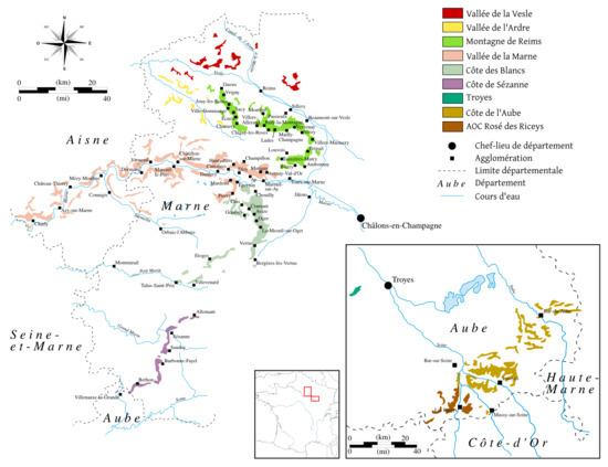 Côte des Blancs Cte des Blancs Wikipedia