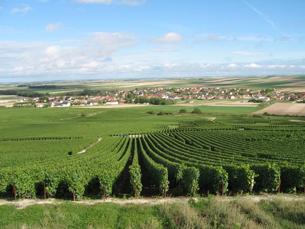 Côte des Blancs - Alchetron, The Free Social Encyclopedia