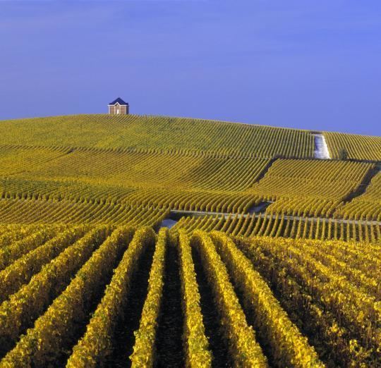 Côte des Blancs Cuis Cte des Blancs The Green Guide Michelin