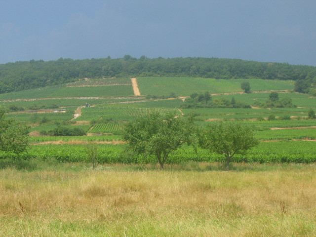 Côte d'Or (escarpment)