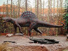 Ctenosauriscidae httpsuploadwikimediaorgwikipediacommonsthu
