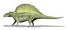 Ctenosauriscus httpsuploadwikimediaorgwikipediacommonsthu