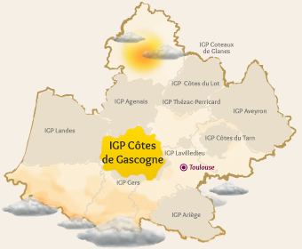 Côtes de Gascogne IGP Ctes de Gascogne Vins du SudOuest