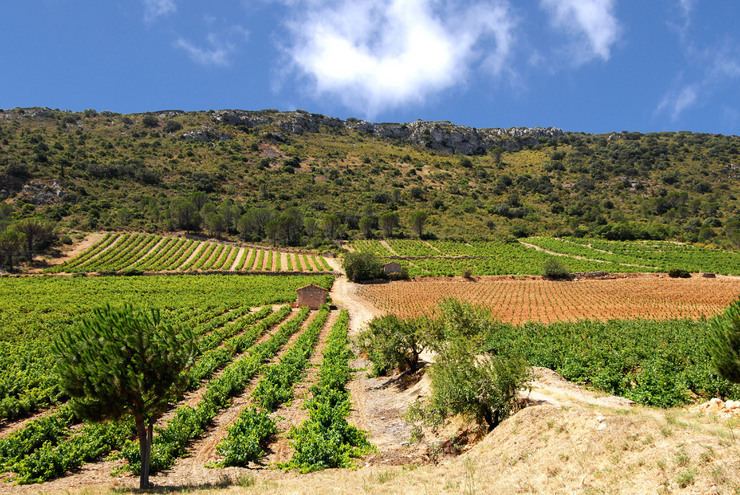 Côtes du Roussillon AOC Conseil Interprofessionnel des Vins du Roussillon CIVR