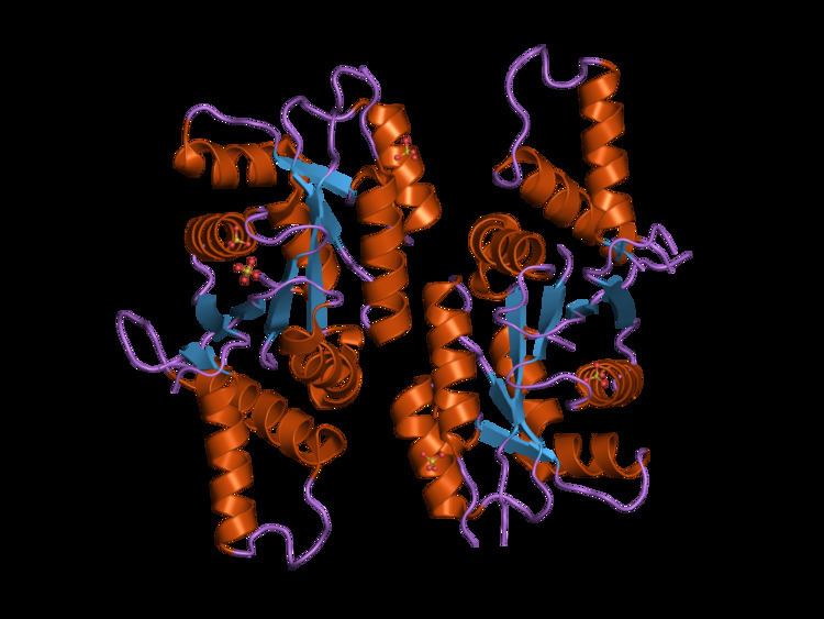 CTP synthase 1
