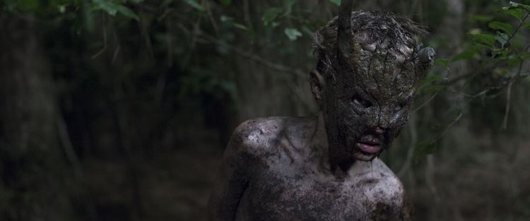 Cub (film) Fantastic Fest 14 Review Cub Is Kinetic Brutal and Graphic