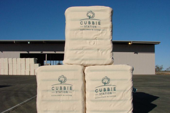 Cubbie Station Foreign investment success at Cubbie Station ABC Rural ABC News