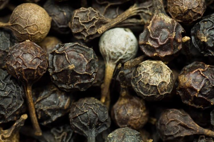Cubeb Cubeb Gin Foundry looks at the use of cubeb as a gin botanical