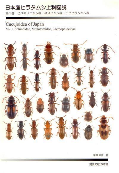 Cucujoidea Cucujoidea of Japan Vol 1 Sphindidae Monotomidae Laemophloeidae