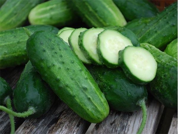 Cucumber Heirloom Cucumbers Baker Creek Heirloom Seeds