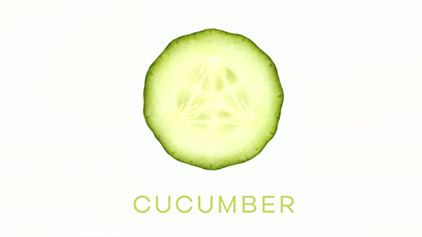 Cucumber (TV series) Cucumber TV series Wikipedia