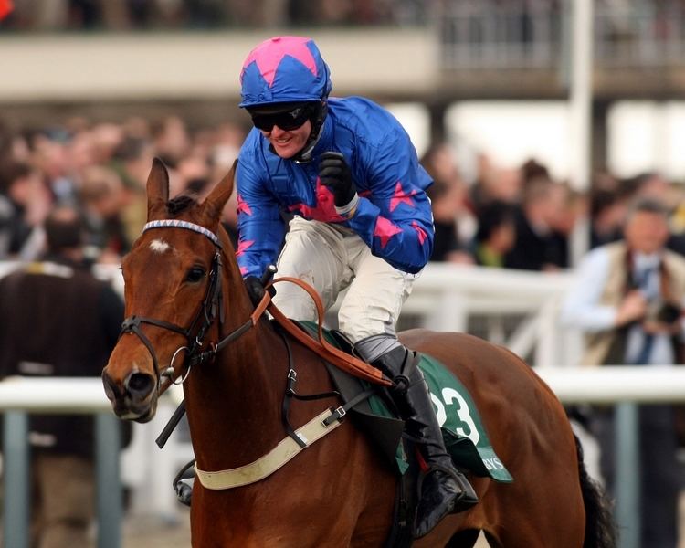 Cue Card (horse) Boxing Day Racing 26122015 Horse Racing Punters Lounge