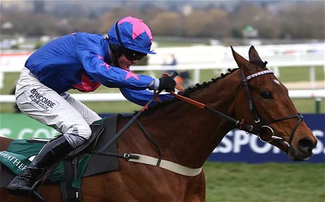 Cue Card (horse) Cheltenham test to bring out best in Cue Card Horse racing Telegraph