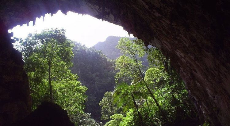 Cueva de los Guácharos Parque Nacional Natural Cueva de los Gucharos Huila Colombiacom