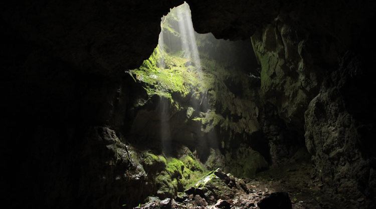 Cueva de los Guácharos cueva de los gucharos huila