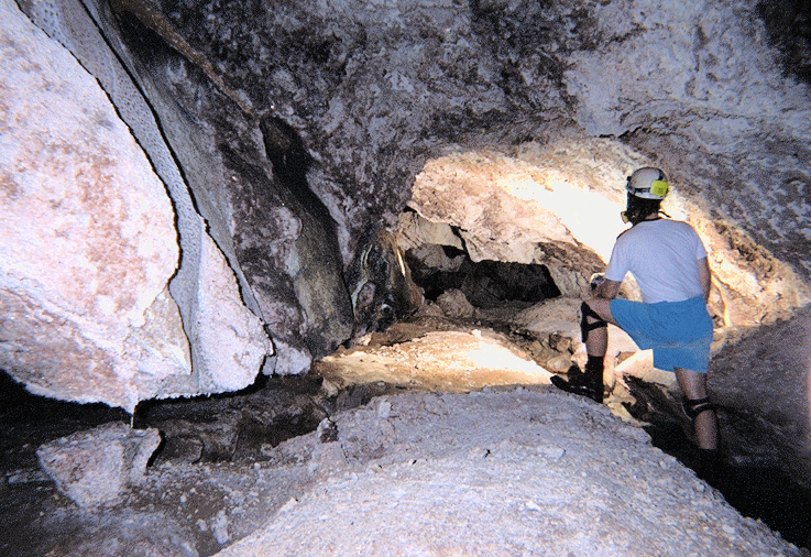 Cueva de Villa Luz - Alchetron, The Free Social Encyclopedia