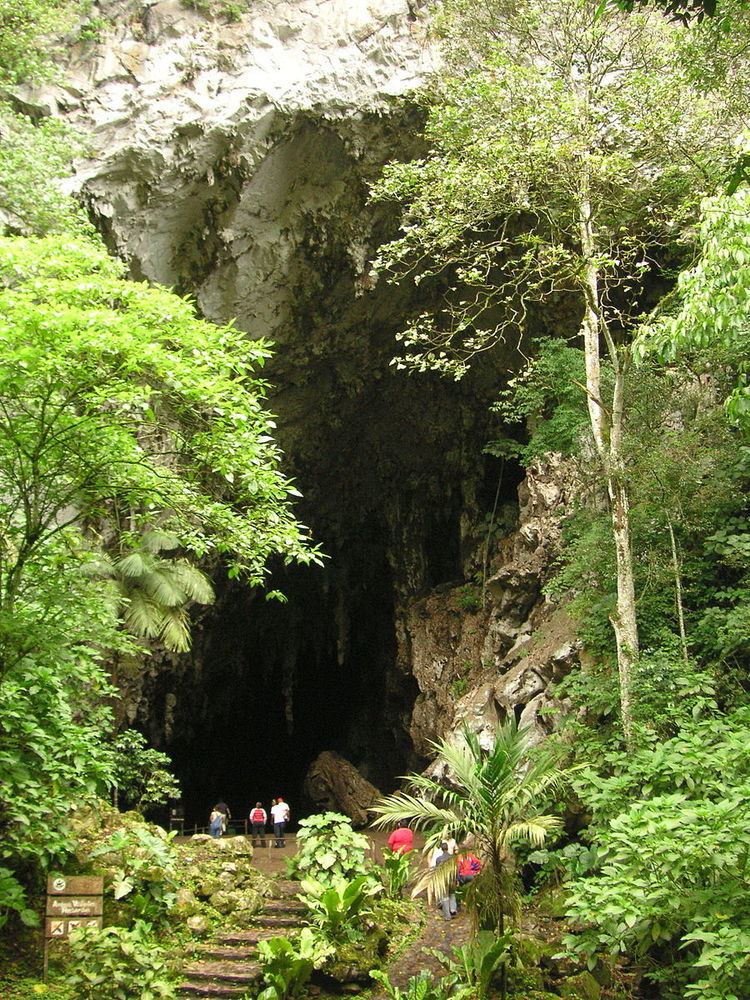 Cueva del Guácharo National Park
