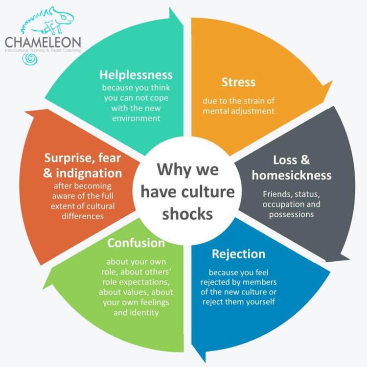 Why we experience culture shock | Chameleon Intercultural Training & Expat  Coaching
