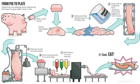 Process of pig to plate