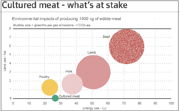 Chart of Cultured Meat poultry, pork, lamb and beef