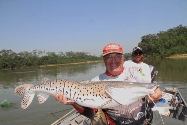 Culuene River Na vazante do Rio Kuluene Revista Pesca amp Companhia