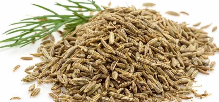 Cumin 19 Amazing Benefits and Uses Of Cumin Jeera For Skin Hair And Health