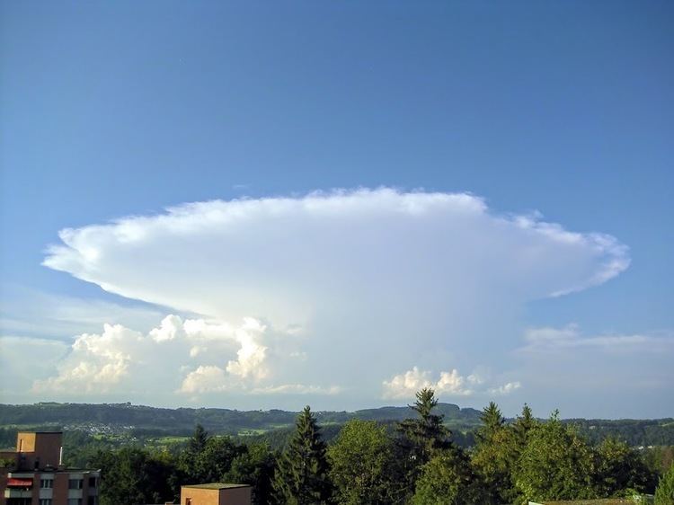 Cumulonimbus capillatus