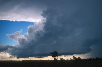 Cumulonimbus cloud in central Oklahoma