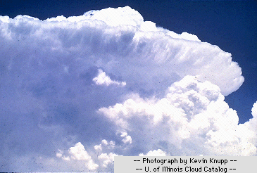 Cumulonimbus cloud- supercell