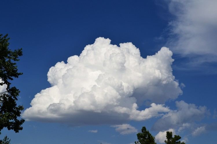 Cumulus cloud Cumulus Cloud ThingLink