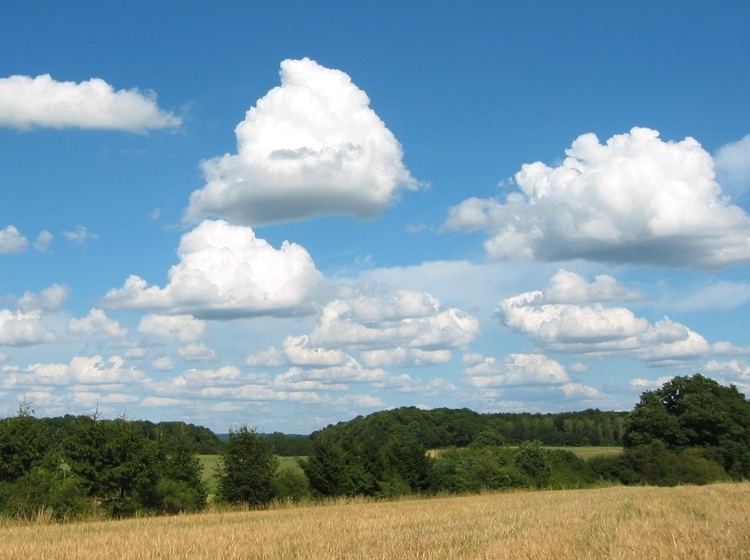 Cumulus cloud Clouds