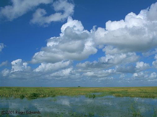 Cumulus humilis cloud Cumulus Humilis Everglades SkyPix Cloud Photography