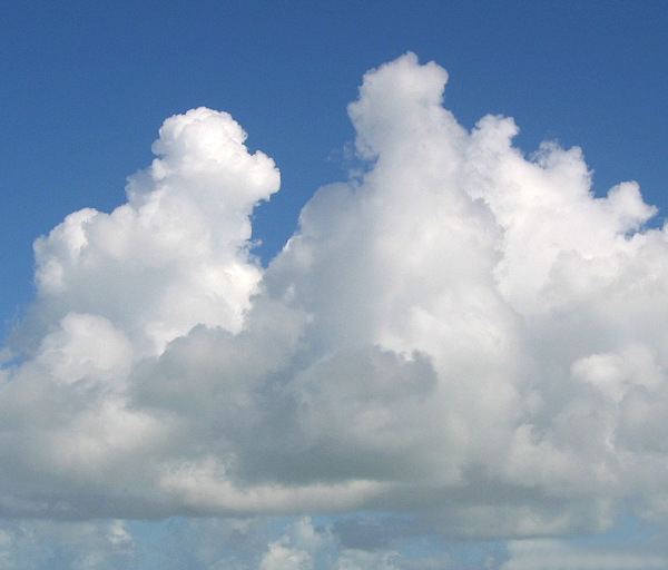 Cumulus mediocris cloud cumulusmediocrisjpg