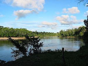Curaray River httpsuploadwikimediaorgwikipediacommonsthu