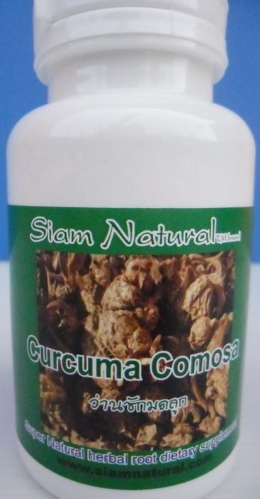 Curcuma comosa Vaginal tightening PMS remedy Curcuma comosa aka Wan Chak Modlook