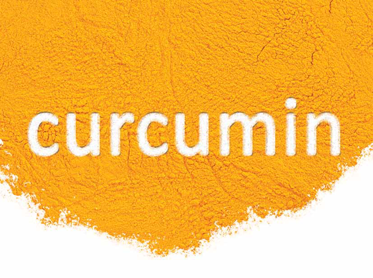 Curcumin The Case for Curcumin IVC Journal