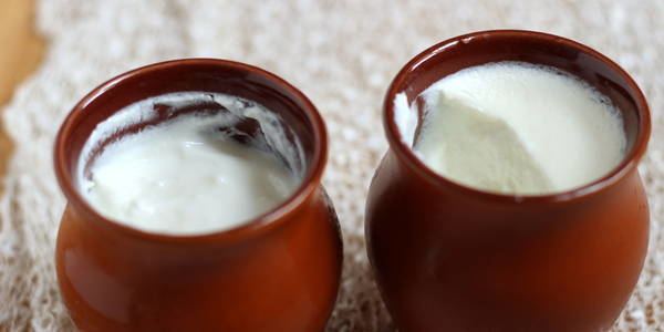 Curd How To Make Homemade Yogurt Curd Steps to Make Dahi at Home