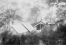 Curlew Camp httpsuploadwikimediaorgwikipediacommonsthu