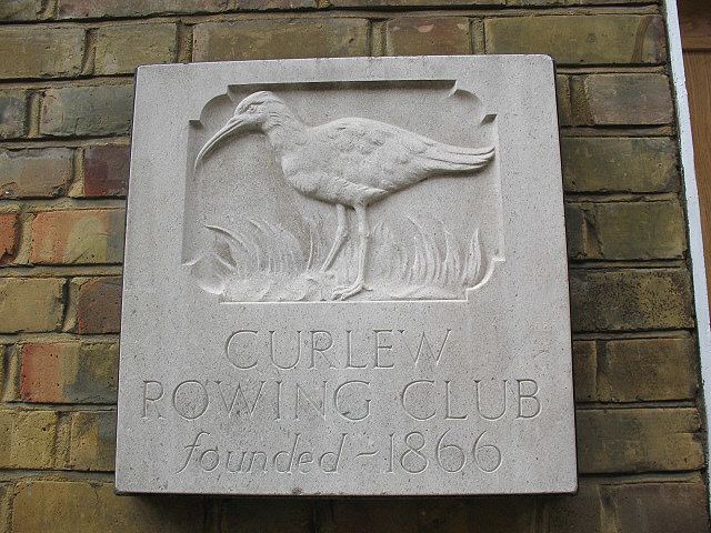 Curlew Rowing Club