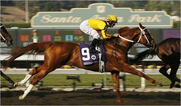 Curlin Curlin 3907 Horse of the Year Is Unlikely to Race Again The New