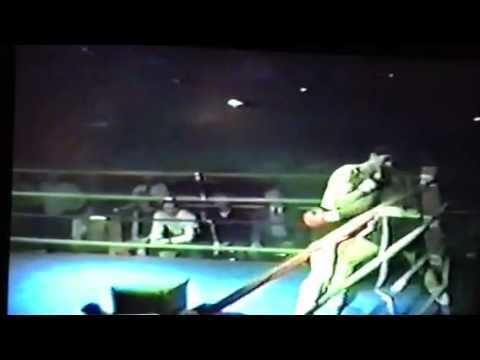 Curtis Bush World Kickboxing Champion CURTIS BUSH Pro Boxing Debut 1984 YouTube