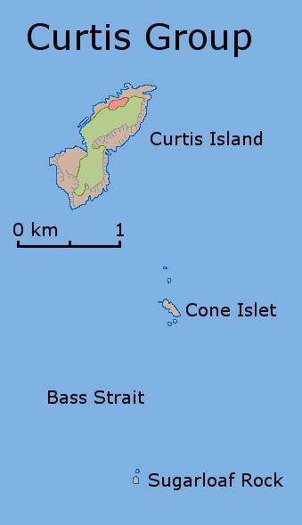 Curtis Island (Tasmania)