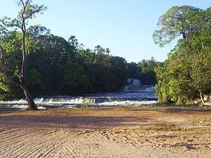 Curuá River (Iriri River) httpsuploadwikimediaorgwikipediacommonsthu